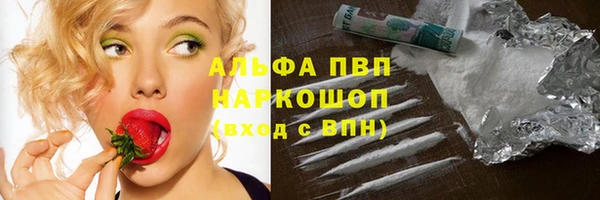 СК Аркадак