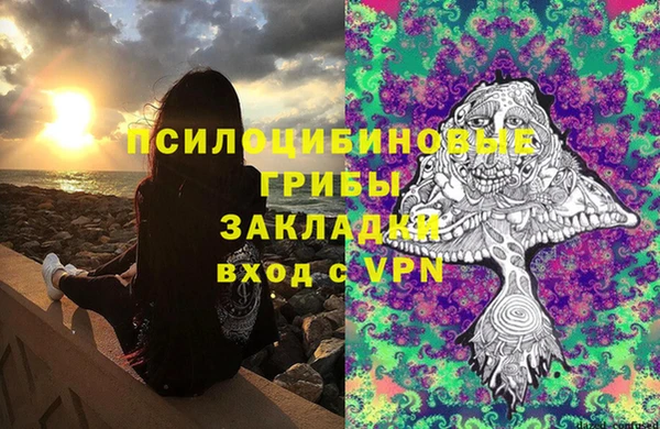 соль ск Арсеньев