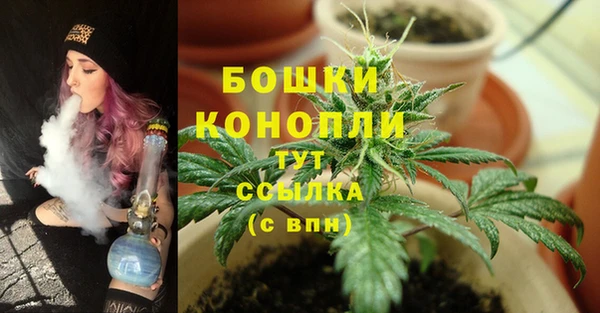 СК Аркадак