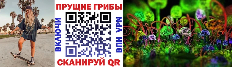 Галлюциногенные грибы Psilocybe omg ТОР Тында даркнет сайт